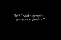 365 Photography 466839 Image 2