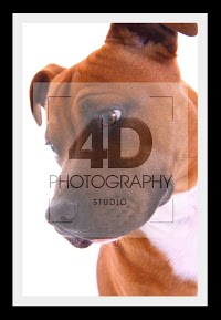 4D Photography 472985 Image 7