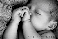Ashley Winter Photography 458378 Image 3