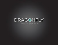 Dragonfly Photography Ltd 445229 Image 0