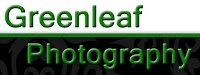 Greenleaf Photography 463056 Image 9