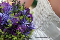 Invogue Weddings 472165 Image 1