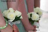 Invogue Weddings 472165 Image 3
