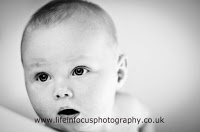 Life in Focus Photography 464465 Image 4