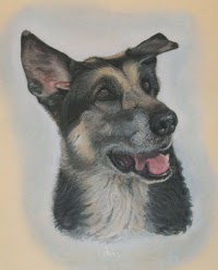 Pet Portraits By Mary 456586 Image 1