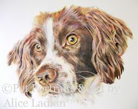 Pet Portraits and Art by Alice Ladkin 465892 Image 0