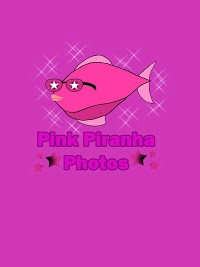 Pink Piranha Photos Franchise 443547 Image 2
