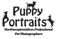 Puppy Portraits 446400 Image 0