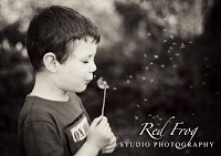 Red Frog Studio Photography 466742 Image 7