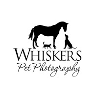 Whiskers Pet Photography 459013 Image 0