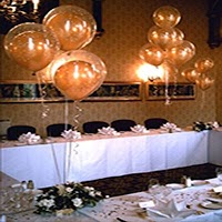 1 Stop Wedding Solutions 458108 Image 0