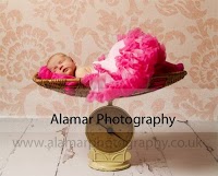 Alamar Event and Portrait Photography 472226 Image 3