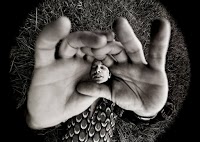 Annabel Moeller Photography 451344 Image 2
