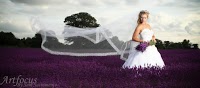 Artfocus Photography 459414 Image 0