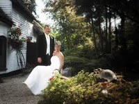 Artography Wedding Photography 446520 Image 0