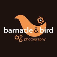 Barnacle and Bird Photography 456653 Image 9