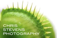 Chris Stevens Photography 461835 Image 0