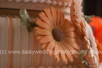 Daisy Wedding Photography 461734 Image 1