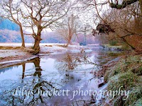 Dilys Hackett Photography 454191 Image 1