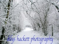Dilys Hackett Photography 454191 Image 2
