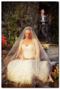 Eden Digital   (Wedding Photographers Swansea) 457911 Image 9