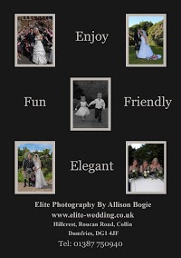 Elite Photography By Allison Bogie 464006 Image 0