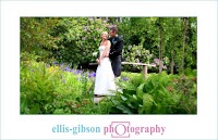 Ellis Gibson Photography 454938 Image 0