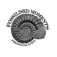 Fossilised Moments Photography 453826 Image 1