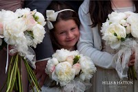 Hills and Hatton Norwich, Norfolk Wedding Photography 470542 Image 0
