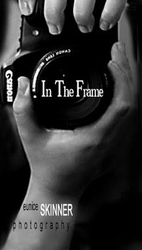 In the Frame Photography 466958 Image 0