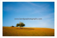 Karol Gos Photography   Landscape of Pembrokeshire 453007 Image 6