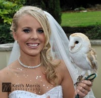 Keith Morris Photography 448384 Image 6