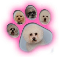 La Pooch Professional Dog Stylists 443903 Image 0
