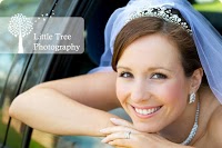 Little Tree Wedding Photography 467519 Image 0