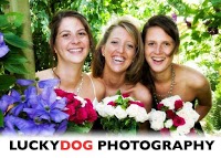 Lucky Dog Photography 442636 Image 0