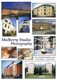 Mulberry Studio 455148 Image 2