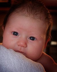 My 1st Portrait   The Baby Portrait Specialist 460448 Image 1
