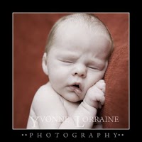 My Newborn Portrait Photography 451845 Image 1