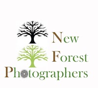 New Forest Photographers 447142 Image 0