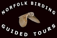 Norfolk Birding 442811 Image 0