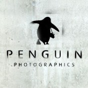 Penguin Photographics 458345 Image 0