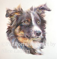 Pet Portraits and Art by Alice Ladkin 465892 Image 5
