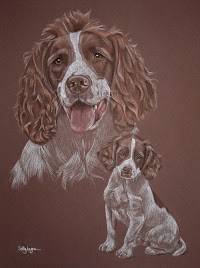 Pet Portraits by Sally Logue 469407 Image 0