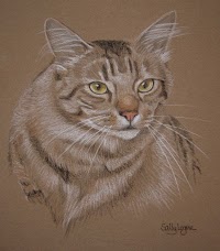 Pet Portraits by Sally Logue 469407 Image 1