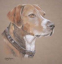 Pet Portraits by Sally Logue 469407 Image 2