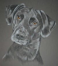 Pet Portraits by Sally Logue 469407 Image 3