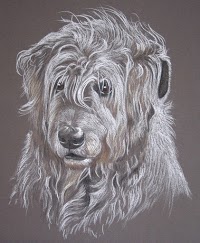 Pet Portraits by Sally Logue 469407 Image 6