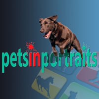 Pets in Portraits 466064 Image 0