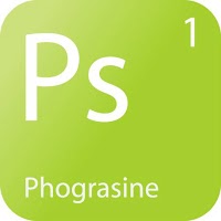 Phograsine Photography and Web Design 464059 Image 0