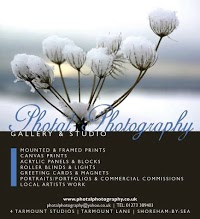 Photal Photography Gallery and Studio 446585 Image 0
